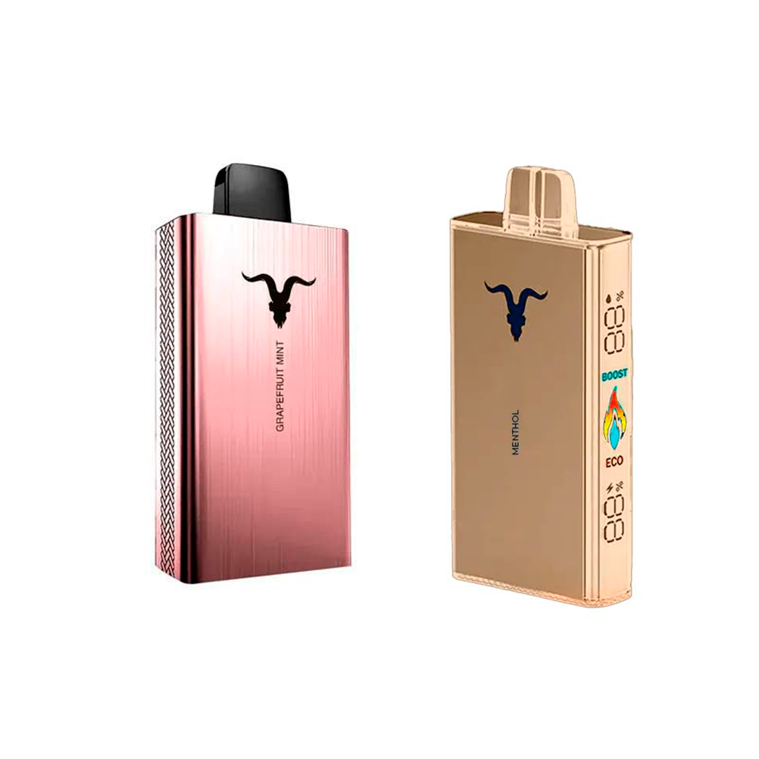 COMBO - Ignite V250 + Ignite V80